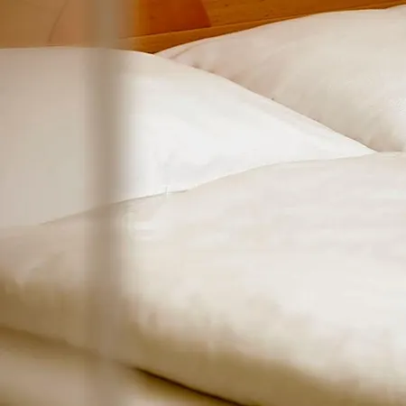Hotel Neustifter 4*