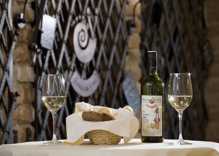 מלון Neustifter 4*